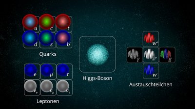 Auf der Grafik sind künstlerische Darstellungen der Elementarteilchen des Standardmodells zu sehen.