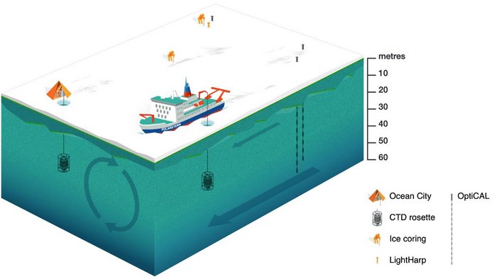 Grafik zum Forschungsschiff „Polarstern“: Das Bild zeigt im Querschnitt die Fläche unter der Eisscholle und unter dem Schiff. Dabei sind direkt am Schiff und an zwei weiteren Positionen in etwa 40 Meter Tiefe Sensoren im Wasser, die Werte Messen. Pfeile unter Wasser geben außerdem die Strömungsbewegungen an.