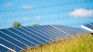 Mehrere Solarmodule auf einem Feld unter blauem Himmel