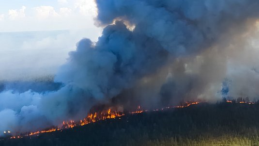 Luftaufnahme eines brennenden Nadelwaldes, von dem eine große Rauchwolke in den Himmel zieht