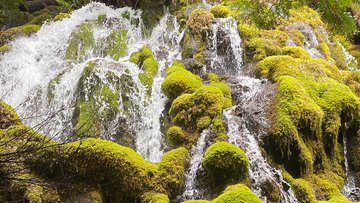 Schäumende Bäche zwischen moosbewachsenen Felsen