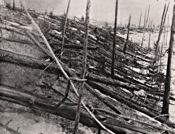 Alte Schwarz-Weiß Fotografie, auf der zahlreiche umgestürzte und abgebrochene Bäume abgebildet sind.