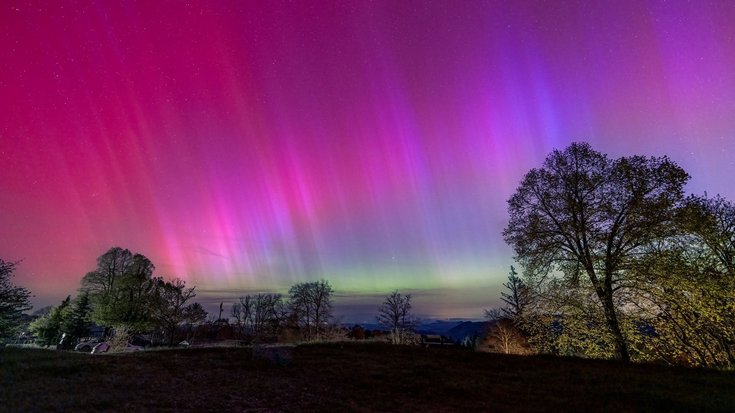 Leuchtende Polarlichter in unterschiedlichen Farben am Himmel. Im Vordergrund des bunt erleuchteten Nachthimmels ein Feld mit Bäumen