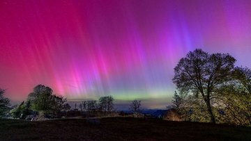 Leuchtende Polarlichter in unterschiedlichen Farben am Himmel. Im Vordergrund des bunt erleuchteten Nachthimmels ein Feld mit Bäumen