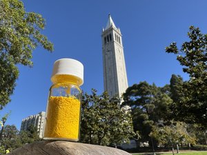 Kleines, transparentes Gefäß, in dem sich ein gelbes Pulver befindet; dahinter der Glockenturm der University of California in Berkeley