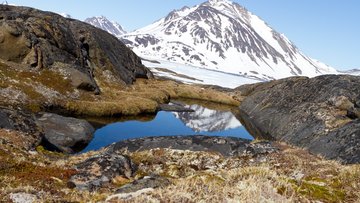 Eine felsige Landschaft mit wenig Pflanzen im Vordergrund und ein schneebedeckter Berg im Hintergrund. 