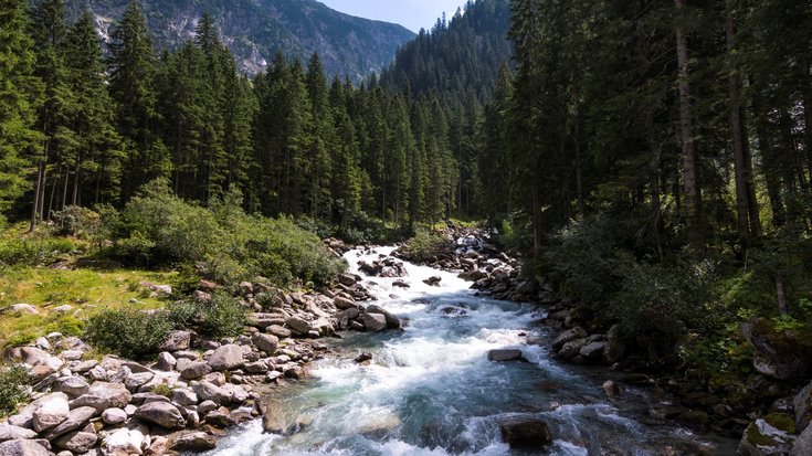 Schnell strömender Fluss zieht sich durch alpine Wald- und Berglandschaft